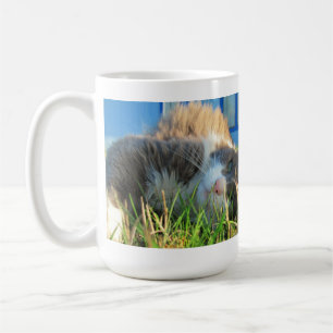 Sunny Cat ist sonnig Kaffeetasse