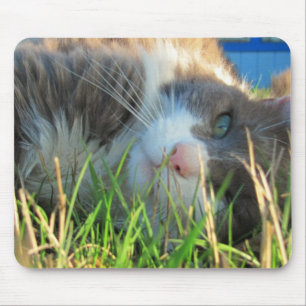Sunny Cat ist sonnig Mousepad