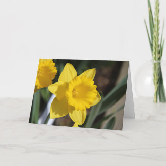 Sunny Daffodil Karte