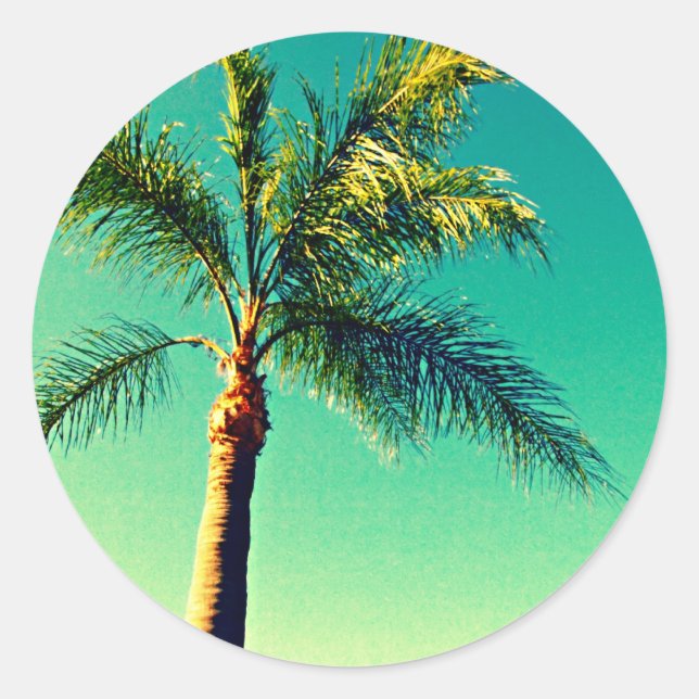 Sunny Florida Palm Tree Sky Picture Runder Aufkleber (Vorderseite)