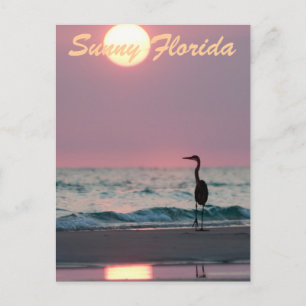 Sunny Florida Postkarte