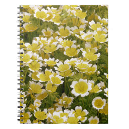 Sunny Gold White Blume Notizblock