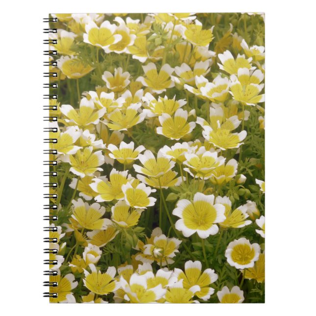 Sunny Gold White Blume Notizblock (Vorderseite)