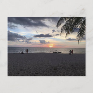 Sunny Holiday Greetings Feiertagspostkarte