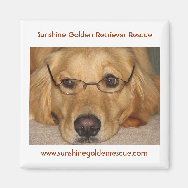 Sunny Magnet - Sunshine Golden Retriever Secourt.. (Devant)