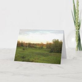 Sunny Meadow Karte