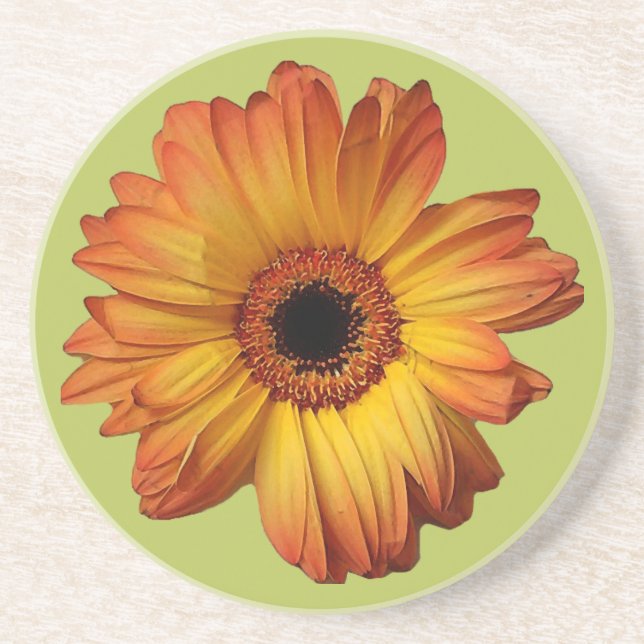 Sunny Orange gerbera flower bloom Getränkeuntersetzer (Vorne)