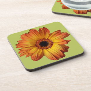 Sunny Orange gerbera flower bloom Untersetzer