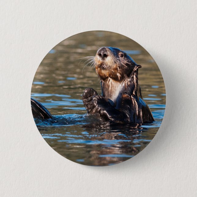 Sunny Sea Otter Button (Vorderseite)