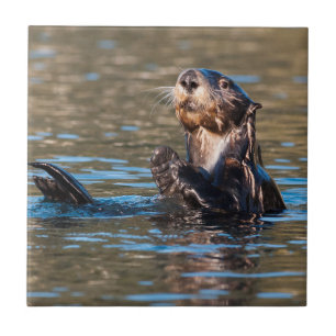 Sunny Sea Otter Fliese