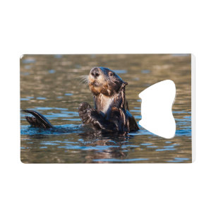 Sunny Sea Otter Geldbeutel Flaschenöffner