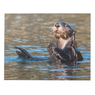 Sunny Sea Otter Notizblock