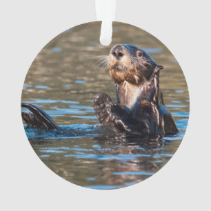 Sunny Sea Otter Ornament