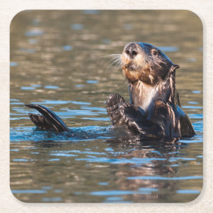 Sunny Sea Otter Rechteckiger Pappuntersetzer