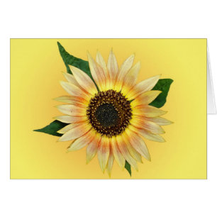 Sunny Sunflower