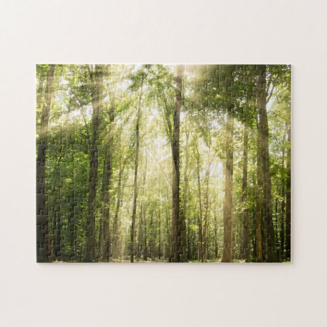 Sunrays durch Treetops (Horizontal)