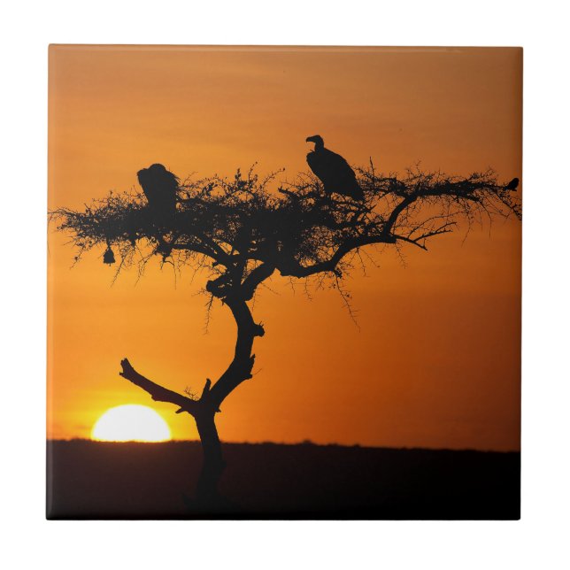 Sunrise at the Masai Mara, Kenia Fliese (Vorderseite)
