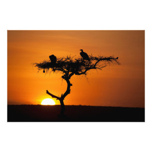 Sunrise at the Masai Mara, Kenia Fotodruck