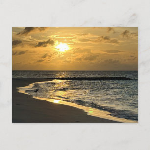 Sunrise Beach Postkarte