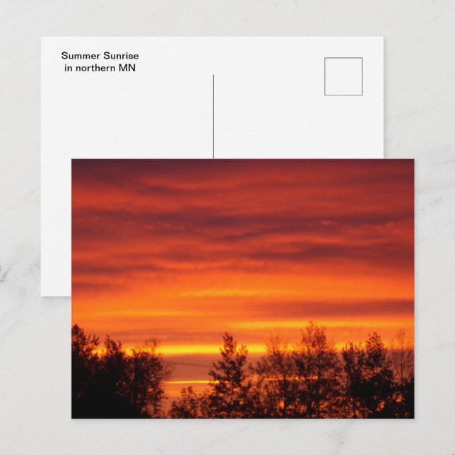 Sunrise d'été dans le nord du MN Carte postale (Devant / Derrière)