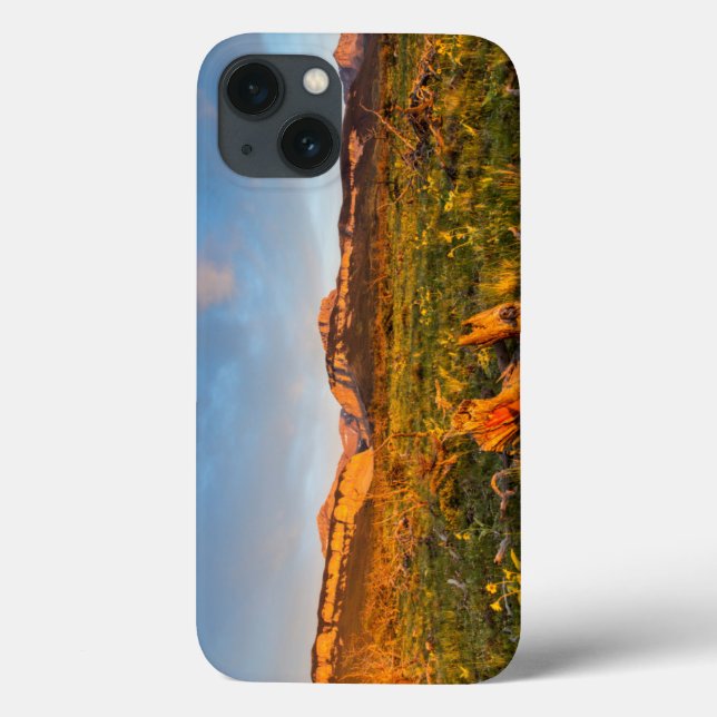 Sunrise Lights Blackleaf Canyon 2 Case-Mate iPhone Hülle (Rückseite)