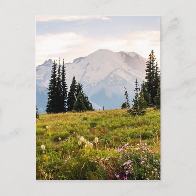 Sunrise Mt. Rainier Geschenke Postkarte (Vorderseite)