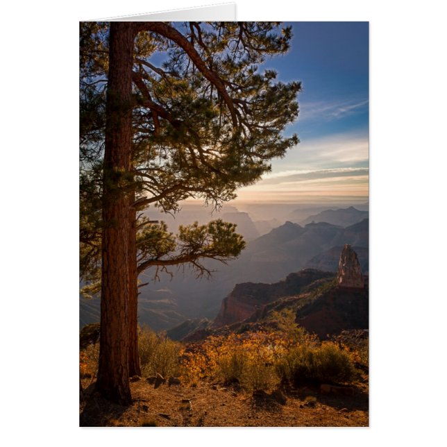 Sunrise North Rim (Devant)