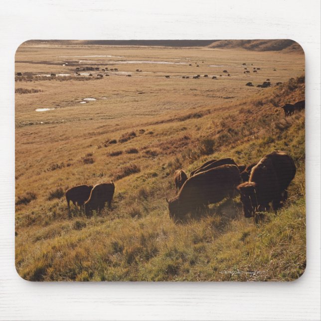 Sunrise on Bison Mousepad (Vorne)