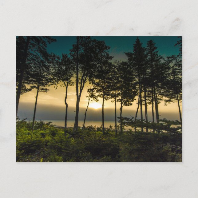 Sunrise on Gouldsboro Bay, Maine Postkarte (Vorderseite)