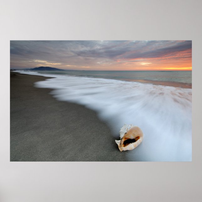 Sunrise On The Beach And A Shell Poster (Vorne)