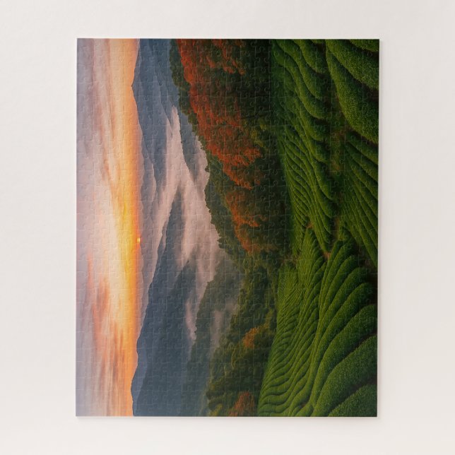 Sunrise over Mountain Tea Fields in Japan (Vertikal)