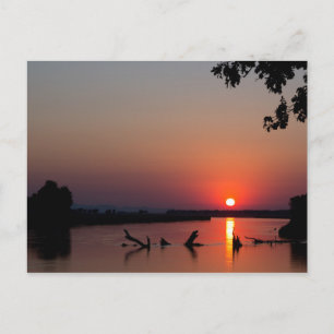 Sunrise over the Zambesi River Postkarte