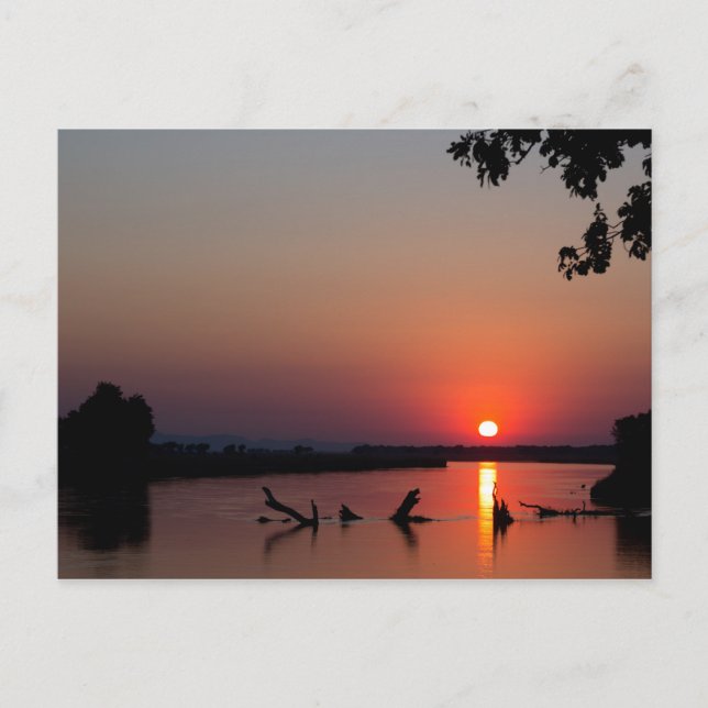 Sunrise over the Zambesi River Postkarte (Vorderseite)