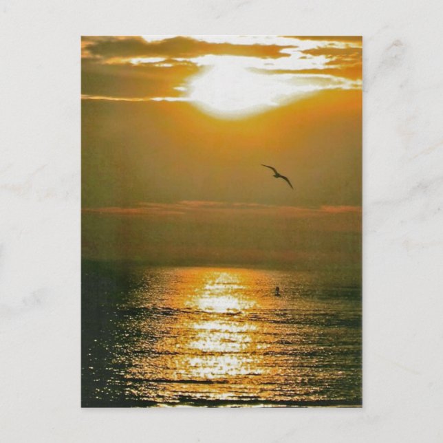 Sunrise Postkarte (Vorderseite)