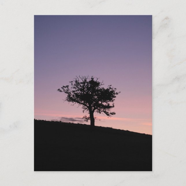 Sunrise Postkarte (Vorderseite)