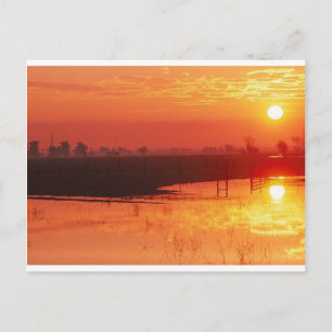 Sunrise Postkarte