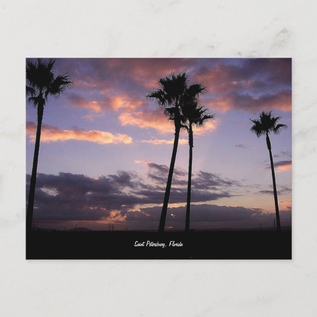 Sunrise, Saint-Pétersbourg, Floride carte postale (Devant)