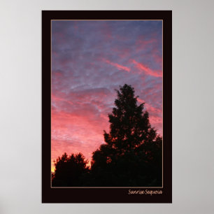 Sunrise Sequoia Poster