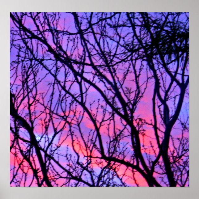 Sunrise Silohuette Poster (Vorne)