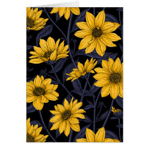 Sunroot, tournesol sauvage en jaune et bleu