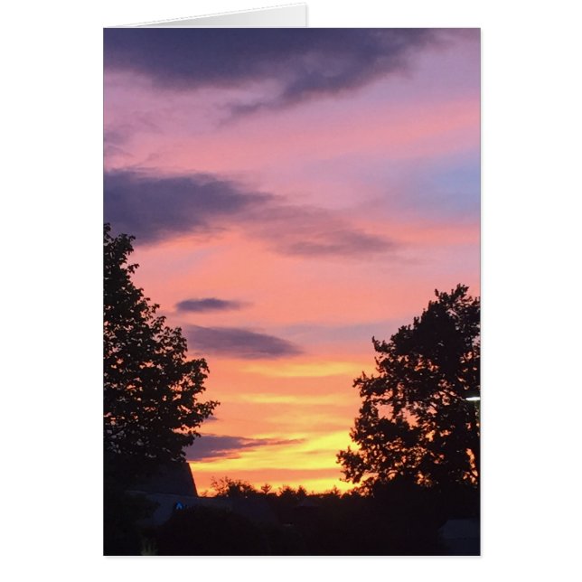 SunSet 1 (Devant)