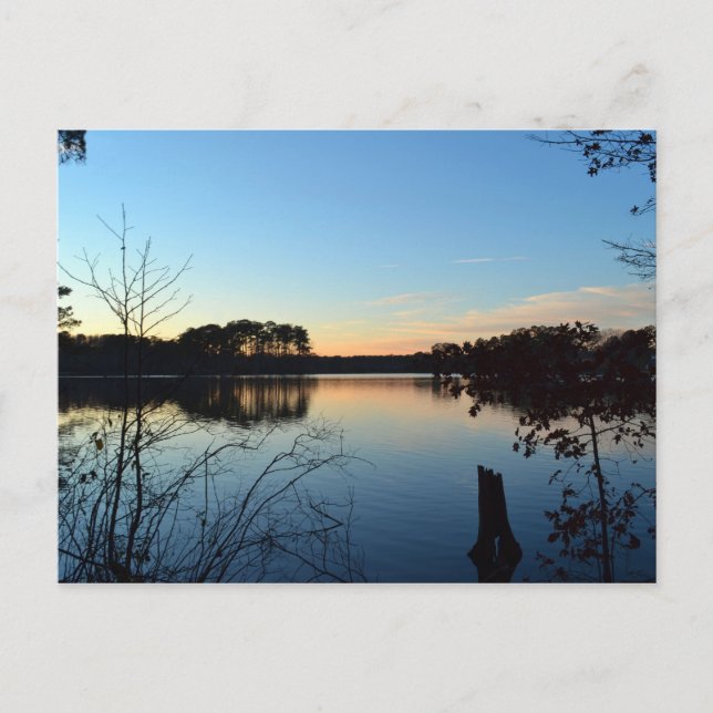 Sunset 'Almost Gone' von Shirley Taylor Postkarte (Vorderseite)