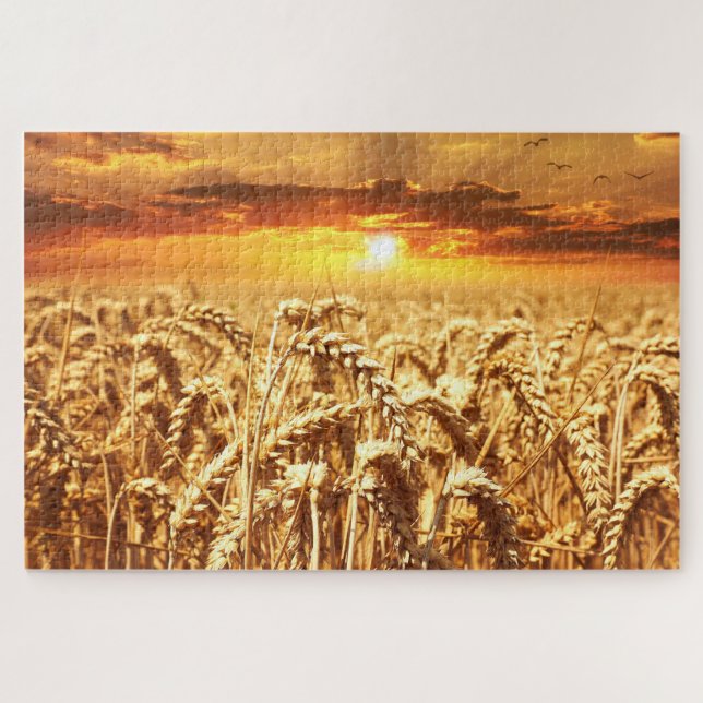 Sunset and Wheat Field (Horizontal)