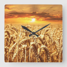 Sunset and Wheat Field