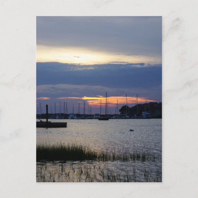 Sunset at Folly Harbour Postkarte (Vorderseite)