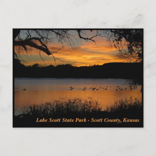 Sunset at Lake Scott Staat Park - Gänse am Lake Postkarte