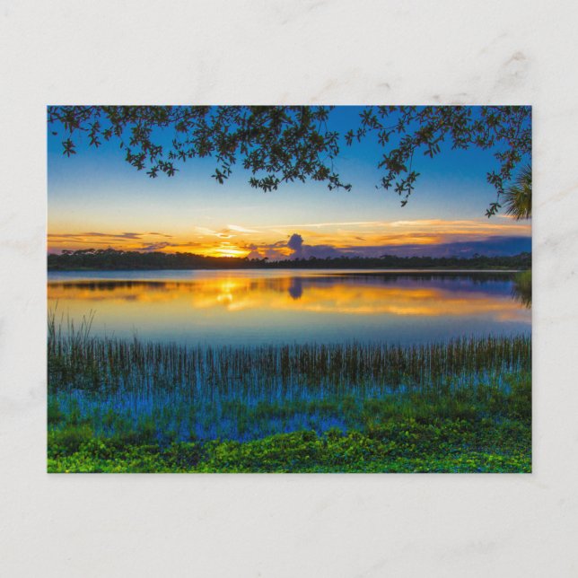 Sunset at Lake Zobel, Fort Pierce, Florida Postkarte (Vorderseite)