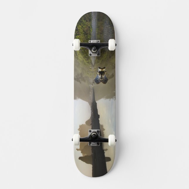 Sunset at Ruby Beach, Olympic National Park, Skateboard (Vorderseite)