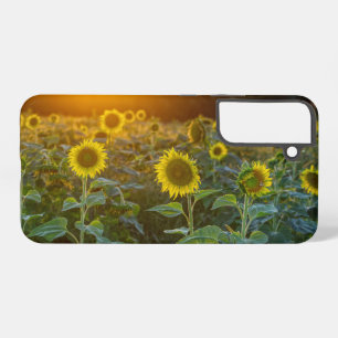 Sunset at Sunflower Field Samsung Galaxy Fall Hülle