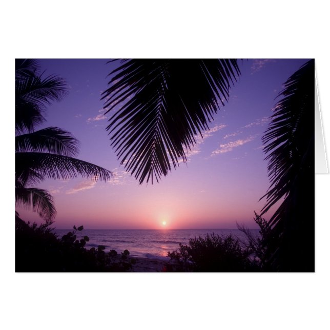 Sunset at West End, Cayman Brac, Cayman Islands, (Vorderseite (Horizontal))
